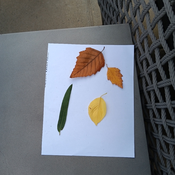 Stay Tuned ~ New Inventory Coming Soon! - Picture 8 of 9